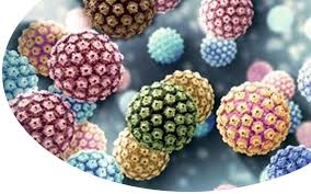 Sigara, Alkol ve Stres Genital Siğil Üzerinde Etkili mi?