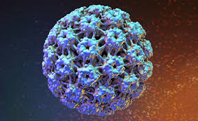 HPV Tamamen Geçer mi