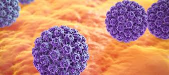 HPV Nedir? Yüksek Riskli ve Düşük Riskli HPV Tipleri